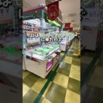【ゲーセン】イオンのモーリーファンタジーで1000円で景品何個取れるか挑戦しました。(クレーンゲーム)