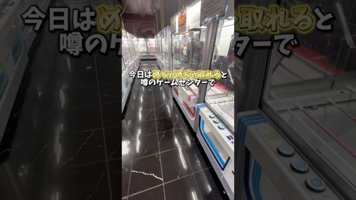 【ゲーセン】めちゃめちゃ取れると噂のゲーセンで1000円で景品何個取れるか検証してみました。(クレーンゲーム)