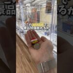 【ゲーセン】めちゃめちゃ取れると噂のゲーセンで1000円で何個取れるか挑戦してみました。(クレーンゲーム)