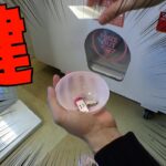 任天堂スイッチが当たる1000円ガチャやった結果ww【クレーンゲーム／UFOキャッチャー】