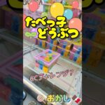 【神回】100円を入れる手が止まらなくなっちゃったwww #shorts #クレーンゲーム #ゲーセン #コツ  #お菓子 #攻略 #ちいかわ #ぬいぐるみ #3本爪 #確率無視