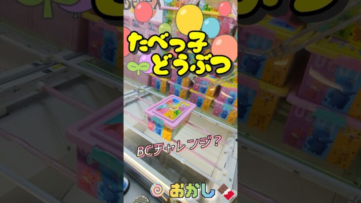 【神回】100円を入れる手が止まらなくなっちゃったwww #shorts #クレーンゲーム #ゲーセン #コツ  #お菓子 #攻略 #ちいかわ #ぬいぐるみ #3本爪 #確率無視