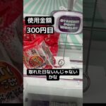 ゲーセンの景品だけで生活【12日目】#クレーンゲーム #ufoキャッチャー #clawmachine #ゲームセンター