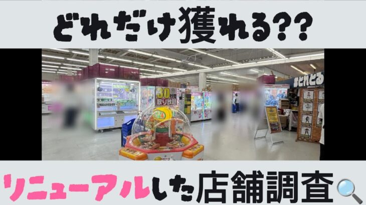 【クレーンゲーム】14　　#とれとる米原店 さんリニューアルされたのでいってきました💖