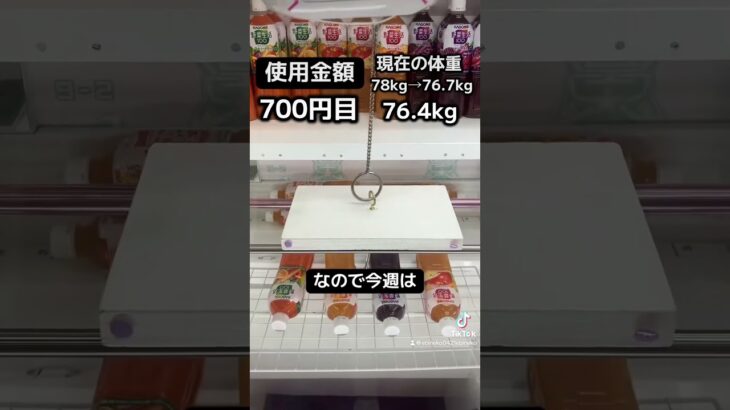 ゲーセンの景品だけで生活【14日目】#クレーンゲーム #ufoキャッチャー #clawmachine #ゲームセンター