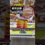 ゲーセンの景品だけで生活【18日目】#クレーンゲーム #ufoキャッチャー #clawmachine #ゲームセンター