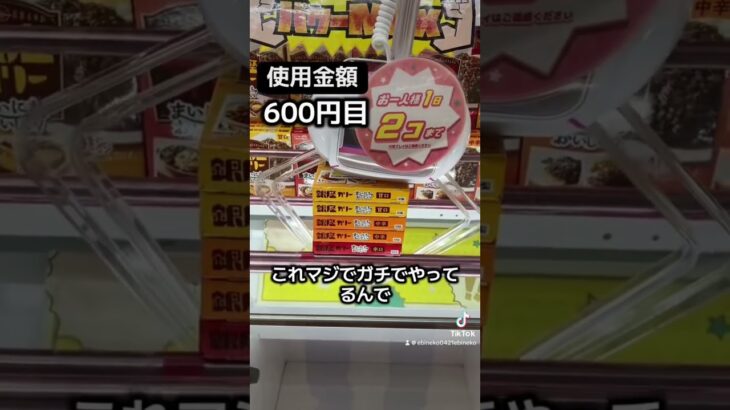 ゲーセンの景品だけで生活【18日目】#クレーンゲーム #ufoキャッチャー #clawmachine #ゲームセンター