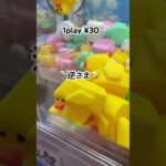 1PLAY 30円🤣 #shorts #10円キャッチャー #ufoキャッチャー攻略 #クレーンゲーム攻略 #clawmachinejapan #日本夾娃娃 #おたちゅう #ゲームセンター