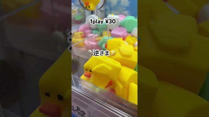 1PLAY 30円🤣 #shorts #10円キャッチャー #ufoキャッチャー攻略 #クレーンゲーム攻略 #clawmachinejapan #日本夾娃娃 #おたちゅう #ゲームセンター