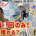 〈リベンジ企画後編！〉トリプルツイン1プレイで獲れる説を実機で挑戦‼️【セガUFOキャッチャーオンライン】
