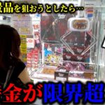 【クレーンゲーム】この時どうする？1ミリのズレで世界が変わる禁断の取り方見つけました…【ufoキャッチャー】
