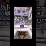 【1分動画☝️😇】#ufoキャッチャー #クレーンゲーム景品 #クレーンゲーム動画 #クレーンゲーム#GET品#ゲームセンター#クレーンゲーム攻略#夾娃娃店#和室からお届け