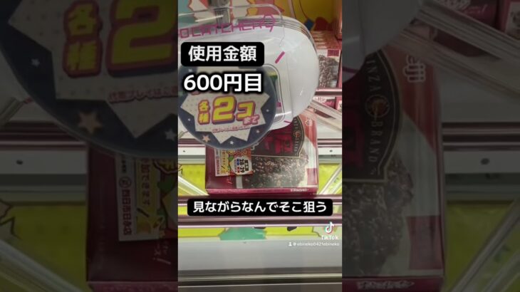 ゲーセンの景品だけで生活【20日目】#クレーンゲーム #ufoキャッチャー #clawmachine #ゲームセンター