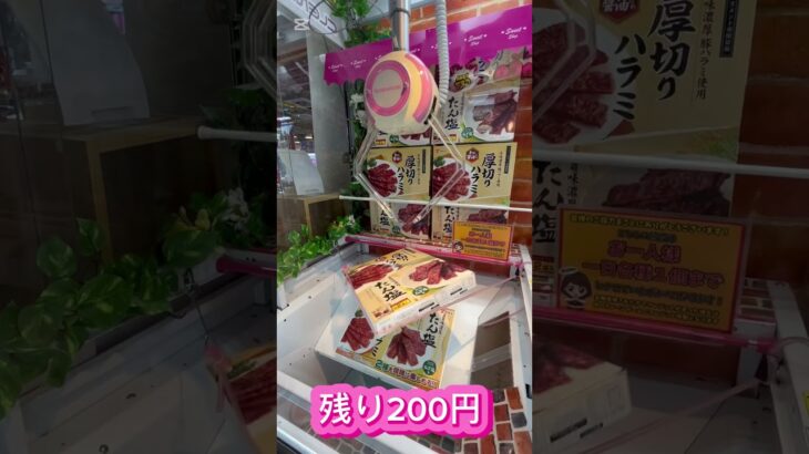 【クレーンゲーム】残り200円⁉️ #クレーンゲーム #アミューズメント限定 #クレーンゲームの沼さん #ゲームセンター #ゲーセン #ufoキャッチャー