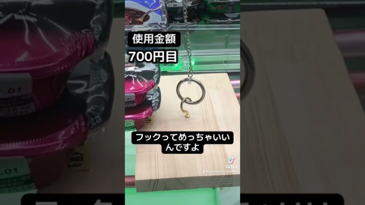 ゲーセンの景品だけで生活【22日目】#クレーンゲーム #ufoキャッチャー #clawmachine #ゲームセンター