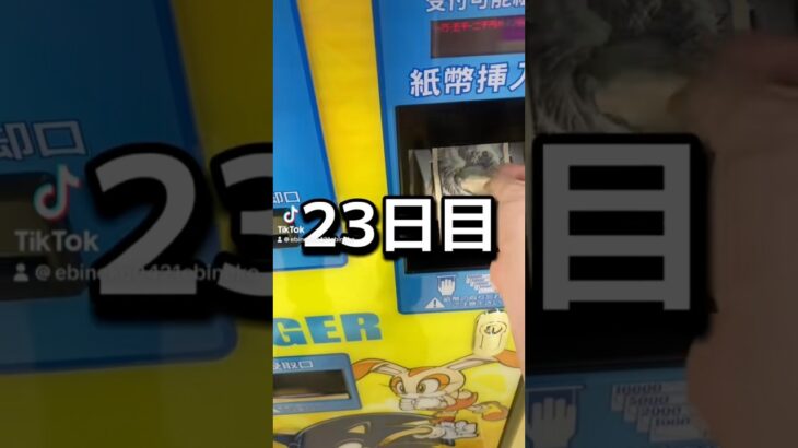 ゲーセンの景品だけで生活【23日目】#クレーンゲーム #ufoキャッチャー #clawmachine #ゲームセンター