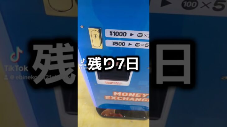 ゲーセンの景品だけで生活【24日目】#クレーンゲーム #ufoキャッチャー #clawmachine #ゲームセンター