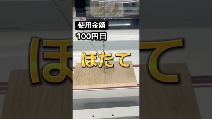 ゲーセンの景品だけで生活【25日目】#クレーンゲーム #ufoキャッチャー #clawmachine #ゲームセンター