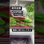 ゲーセンの景品だけで生活【26日目】#クレーンゲーム #ufoキャッチャー #clawmachine #ゲームセンター