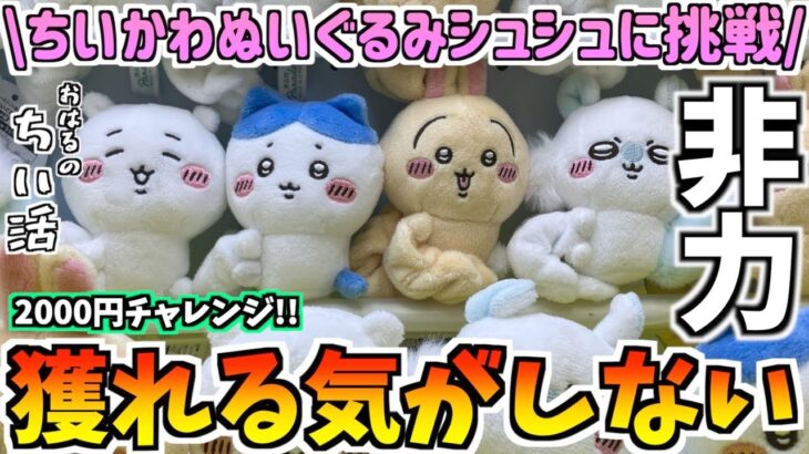 【ちいかわクレゲ】2千円で何個獲れる!?ちいかわ最新プライズぬいぐるみシュシュに挑戦！【ちいかわクレーンゲーム】【ちいかわグッズ】【ちいかわプライズ】【chiikawa】【おはるのちい活vlog】