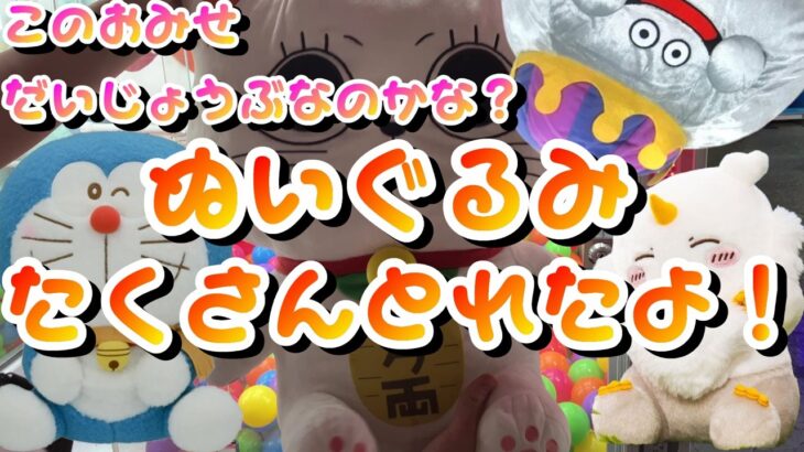 【クレーンゲーム】【3本爪】獲れる瞬間が気持ちよすぎる！！簡単に獲れすぎて、逆に心配になってみた！【ドラえもん】【ちいかわ】【ドラゴンクエスト】