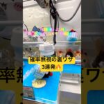 【裏ワザ3連発㊙️】#助六 #ハムスター #クレーンゲーム #ゲームセンター #確率機 #確率無視 #ちいかわ #ポケモン #ポケカ #カップル #夫婦 #ufoキャッチャー