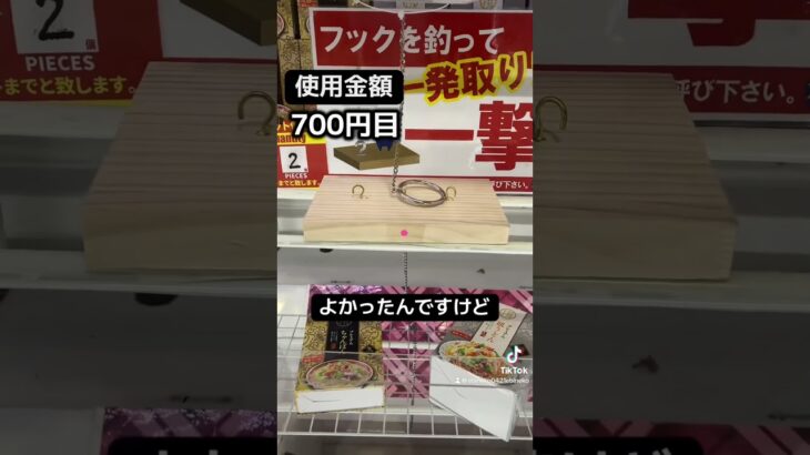 ゲーセンの景品だけで生活【3日目】#クレーンゲーム #ufoキャッチャー #clawmachine #ゲームセンター