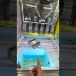 【必見】4本バー橋渡し設定の裏技！落とし方のコツは◯◯にあり！#クレーンゲーム