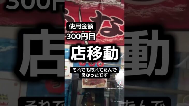 ゲーセンの景品景品だけで生活【4日目】#クレーンゲーム #ufoキャッチャー #clawmachine #ゲームセンター #回遊館