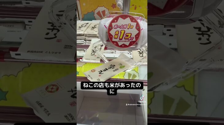 ゲーセンの景品だけで生活【5日目】#クレーンゲーム #ufoキャッチャー #clawmachine #ゲームセンター