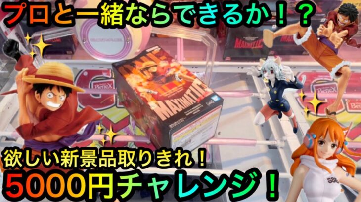 【クレーンゲーム】プロと新景品攻略5000円チャレンジ！ONE PIECE、HUNTER×HUNTERフィギュアをゲットしたい！【UFOキャッチャー】