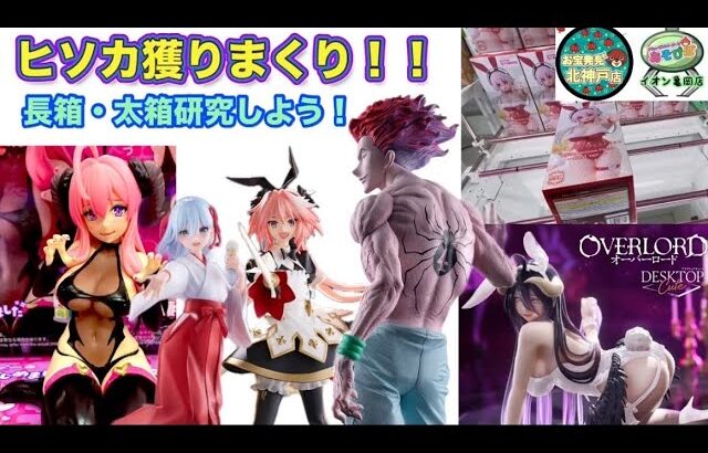 【㊗️１配信5000回視聴突破】【クレーンゲーム】ヒソカを獲まくる！長箱・太箱攻略します。〜お宝発見北神戸店・あそびばイオン亀岡店【ufoキャッチャー】【ゲームセンター】
