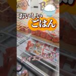 最後、不正しようとしてごめんなさい。ヤラセは50%ないので安心して見てね！#shorts #クレーンゲーム #ゲーセン #コツ  #お菓子 #攻略 #ちいかわ #ぬいぐるみ #3本爪 #確率無視