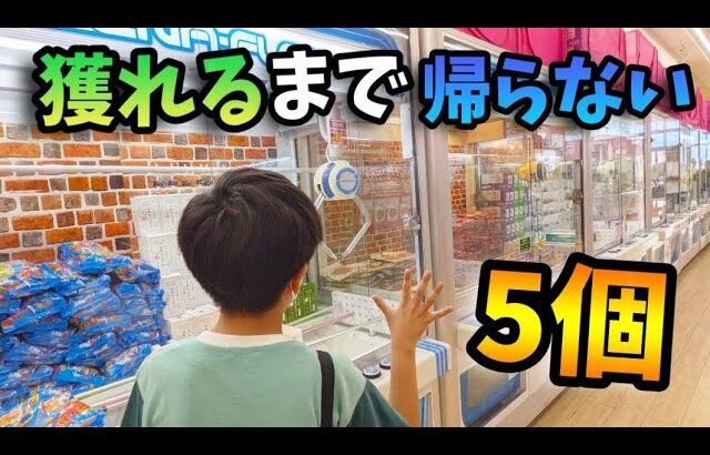 【クレーンゲーム】景品5個取れるまで帰れません!!が想像以上の結果に!?小学生のリアルチャレンジ【ufoキャッチャー 回遊館】