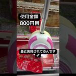 ゲーセンの景品だけで生活【6日目】#クレーンゲーム #ufoキャッチャー #clawmachine #ゲームセンター
