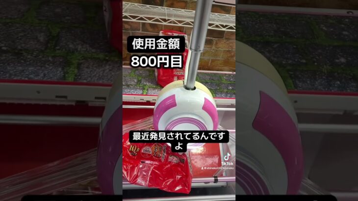 ゲーセンの景品だけで生活【6日目】#クレーンゲーム #ufoキャッチャー #clawmachine #ゲームセンター