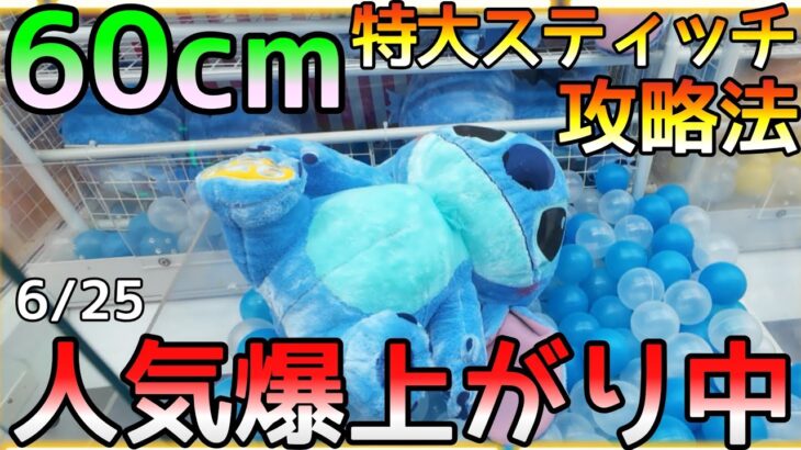 只今人気爆上がり中!!60cm超超特大スティッチ攻略法！