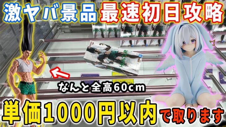 【クレーンゲーム】全高60cmの話題沸騰中の景品を最速初日攻略に挑んで来ました【 橋渡し攻略 デカ箱 川万】ホロライブ 天音かなた ワンピース Grandista シャンクス ハンターハンター ゴン