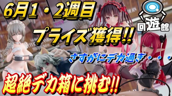 【クレーンゲーム】6月1・2週目登場のプライズフィギュア獲得‼デカ箱捕獲に挑む⁉#ufoキャッチャー #クレーンゲーム  #フィギュア #プライズ #回遊館#倉庫系#ゲームセンター#お菓子