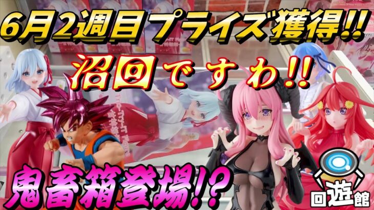 【クレーンゲーム】6月2週目登場のプライズフィギュア獲得‼鬼畜箱登場で沼発動⁉#ufoキャッチャー #クレーンゲーム  #フィギュア #プライズ #回遊館#倉庫系#ゲームセンター#お菓子