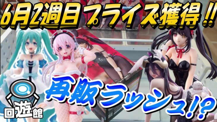 【クレーンゲーム】6月2週目登場のプライズフィギュア獲得‼過去にゲットした事あるなら簡単なはず⁉#ufoキャッチャー #クレーンゲーム  #フィギュア #プライズ #回遊館#倉庫系#ゲームセンター