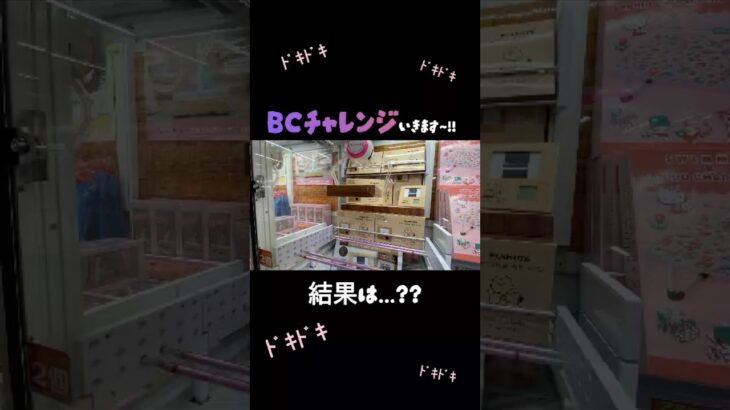 【クレーンゲーム】#とれとる米原店さん でBCチャレンジしてきました💡✊🏻 #クレーンゲーム #クレゲ #ゲームセンター