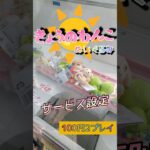 【この形、好き。】今日もBGMのおかげで薄い語りを聞けるレベルまで持っていきます。#shorts#クレーンゲーム#ゲーセン#コツ#お菓子#攻略#ちいかわ#ぬいぐるみ#3本爪#確率無視