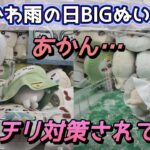 ちいかわ雨の日BIGぬいぐるみ☆ お店側も大警戒！！頼みの攻略も…【クレーンゲーム】