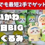 【クレーンゲーム初心者】ちいかわ最新プライズ攻略！ちいかわ雨の日BIGぬいぐるみ