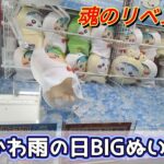 ちいかわ雨の日BIGぬいぐるみリベンジ編！！ツメとパワーがあれば！？【クレーンゲーム】