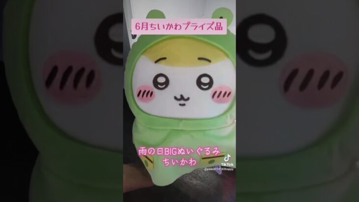 ちいかわ雨の日BIGぬいぐるみ🐻ぬいぐるみシュシュ獲得🦸🏻‍♀️