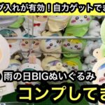 ちいかわ 雨の日BIGぬいぐるみを自力ゲットする方法！刺しやタグ入れを使って獲得しよう！【クレーンゲーム】【JapaneseClawMachine】【인형뽑기】【日本夾娃娃】
