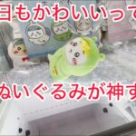 【ちいかわ】雨の日BIGぬいぐるみvol.1