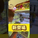 見たことない景品、むしろ欲しい。→全種GETしてみた結果…！